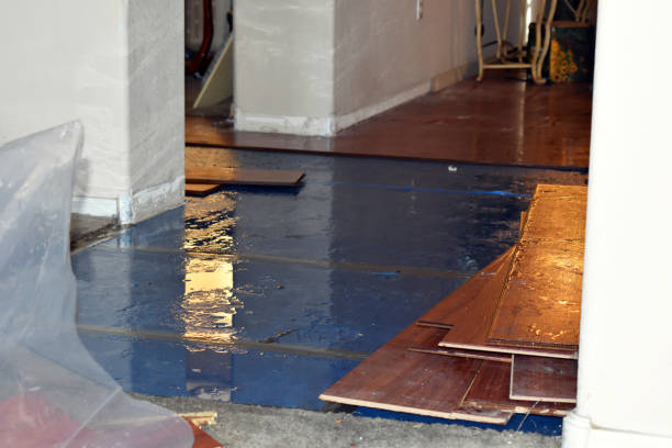 Professional Water Damage Restoration technician working in Garden City, ID